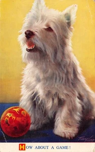 BAMFORTH VIEL GLÜCK COMIC POSTKARTE NR. G233 HUND GEBRAUCHT GUT PLUS - Bild 1 von 2