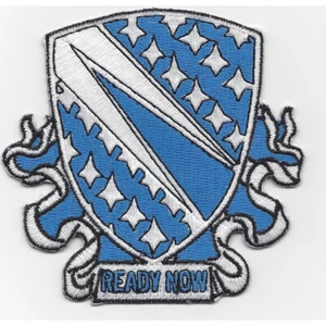 899th Jagdpanzerbataillon Patch - Version A - Bild 1 von 6