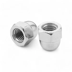 Dome Nuts Zinc Plated Nut Universal Metric Thread M5 M6 M8 M10 M12 M14 M16 (BZP) - Picture 1 of 1