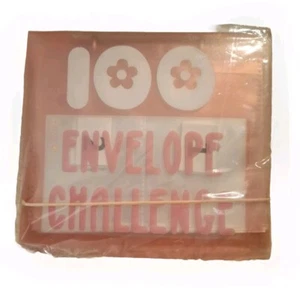 100 Envelope Challenge Pink Binder Savings Book Budget Binder Party Novelty Gift - Picture 1 of 2