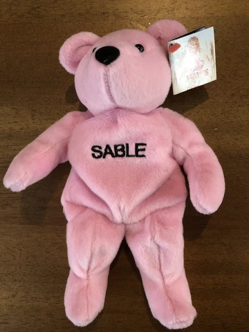 WWE WWF Attitude Bears Sable Plush Beanie Bear Vintage Figure Cover
