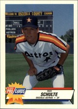1993 Osceola Astros Fleer/ProCards #640 Rich Schulte