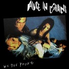 ALICE IN CHAINS We Die Young BANNER HUGE 4X4 Ft Fabric Poster Tapestry Flag art