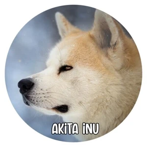 Hunde Aufkleber Sticker rund 10 cm Konturgeschnitten Hunde: Akita Inu - Bild 1 von 1