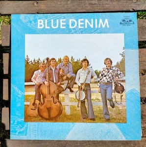 Blue Denim, Self Titled 1975 LP, EX/VG++ - Imagen 1 de 4