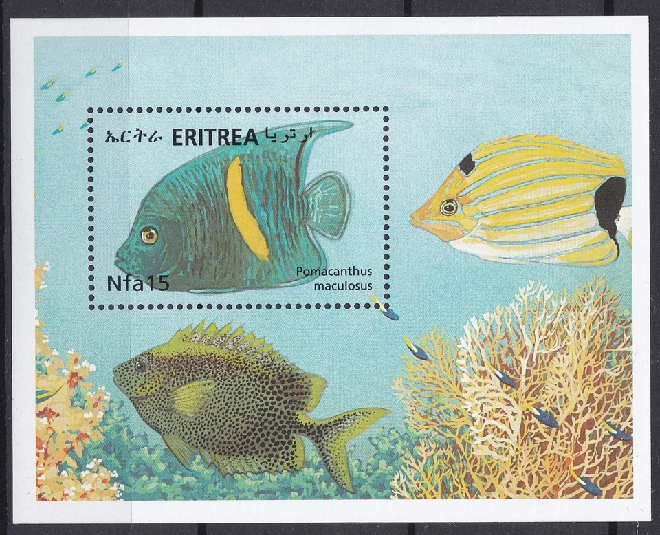 Eritrea: 2000: Marine Life, one Souvenir Sheet, MNH - image 1 of 1