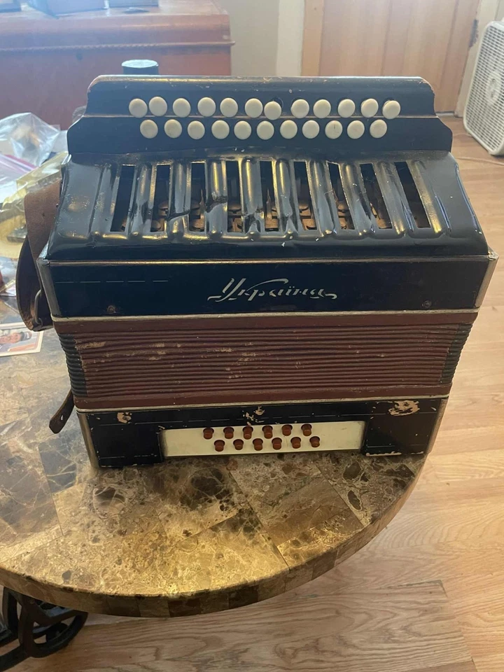 Acordeón Ucrania Foto 1 de 3