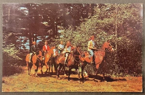 Lake Ronkonkoma Long Island NY Horseback Riders Greetings fr L.R. SHIPS FREE - Picture 1 of 2