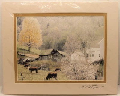 NUEVO Barry Gamow Cows & Barns Naturaleza Arte Fotografía 8x10" Enmarañado Sin Marco Firmado Foto 1 de 4