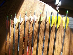 One Dozen Vintage Carbon Arrows - Picture 1 of 4