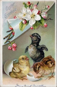 Postcard c1910 Easter Chicks ,Dogwood Raphael Tuck & Sons - Picture 1 of 2