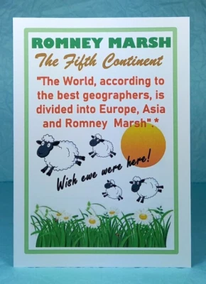 ROMNEY MARSH Fifth Continent - GREETING CARD - Sheep - Humour - Blank - Image 1 of 3