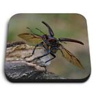 1x Square Fridge MDF Magnet Stag Beetle Insect Lucanus Cervus Europe #52136