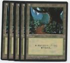 Forest C x 5 MTG 4th FBB Christopher Rush JAPANESE NM/NM- Flat rate shipping   