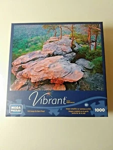 Mega Puzzle Vibrant 1000 Piece Puzzle Buzzard's Roost Rocks EUC - Picture 1 of 5