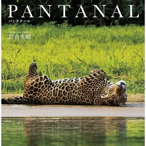 Pantanal Japanese Book - Imagen 1 de 1