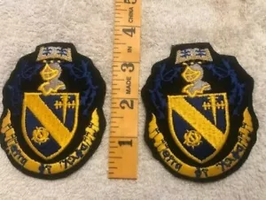 Set of 2 Theta Phi Alpha 3.75" Embroidered Patches Hard To Find VINTAGE - Picture 1 of 1