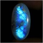 Wholesale 33.15Cts. Natural White Rainbow Moonstone Oval Cabochon Loose Gemstone