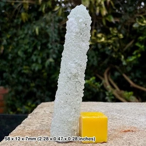 Prehnite crystal - upper new street quarry, nj, usa - rare healing mineral w/ - Picture 1 of 3