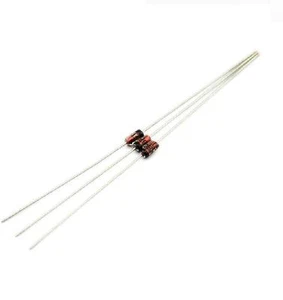 100pcs 1N60 1N60P Diode DO-35 Schottky Barrier Diode NEW - Imagen 1 de 1