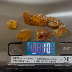 NATURAL UNTREATED AMBER FROM KARNAKAVA, LATVIA - 7 SPECIMENS MF4098 - Picture 1 of 12