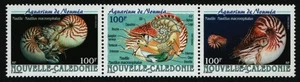 Nueva Caledonia 2001 - Mi-Nr. 1234-1236 ** - MNH - Vida marina / Vida marina - Imagen 1 de 1
