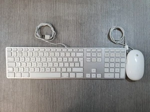 A1243 Genuine Apple Magic Keyboard and A1152 Apple Mighty Mouse Grade B EA2010 - Picture 1 of 10