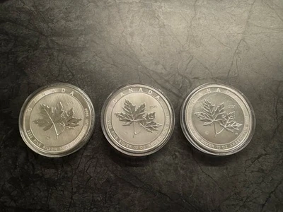 Magnificent Maple Leaf 10 oz Silbermünzen - Bild 1 von 2