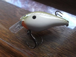 Custom Painted Excalibur XCalibur Square Bill Rattle XCS 100 Gizzard Shad - Picture 1 of 10