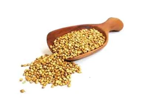 Organic Coriander Seeds - 100g - Picture 1 of 1