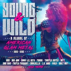 Young And Wild A Decade Of American Glam Metal 1982-1992 3xCD - Picture 1 of 1