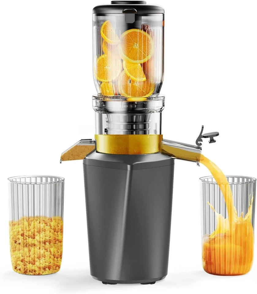 Fyenkfar Slow Juicer Entsafter silbergrau für Obst & Gemüse