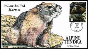 US COVER ALPINE TUNDRA YELLOW BELLIES MARMOT FDC COLLINS HAND PAINTED - Picture 1 of 1