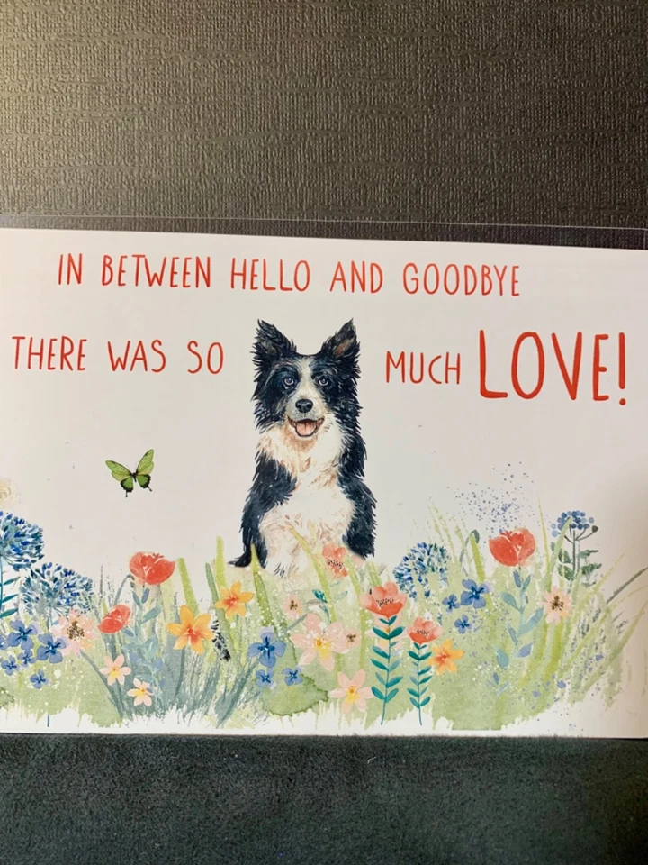 Sympathy Condolences Greeting Card Loss of Pet Dog Much Love