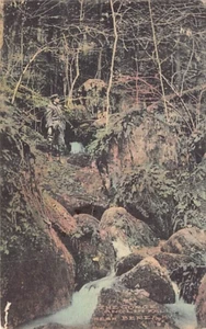 Postcard KY: Gorge, Anglin Falls, Berea, Kentucky, 1910's Albertype Hand colored - Picture 1 of 2