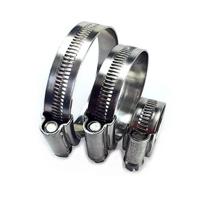 Stainless Steel and Zinc Plated JCS Hi-Grip Hose Clips Tubing Clamp Clip - Bild 1 von 12