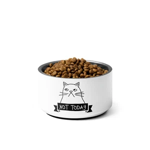 18 oz Pet Bowl for Cats – Double Wall Stainless Steel, Non-Slip | Free Shipping - Picture 1 of 7