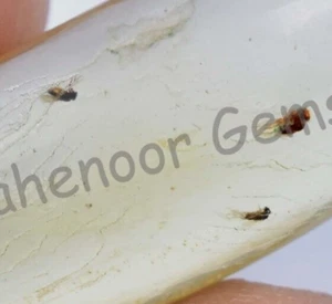 12.50 Ct 100% Natural Yellow Amber Insect Inclusion Certified Loose Gemstone - Picture 1 of 6