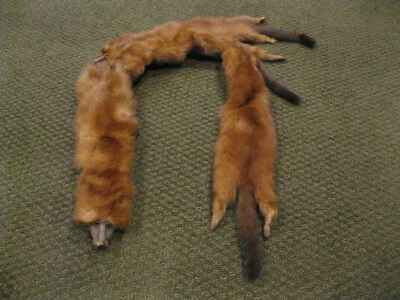 Bonito collar de estola de piel de visón rojo vintage 4 pieles de cuerpo entero 44" con clip Foto 1 de 4