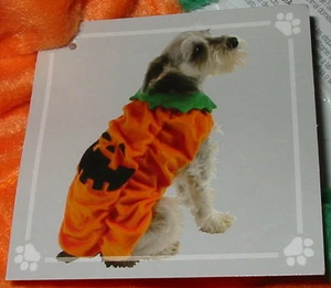 Dog Costume Halloween Medium size Pumpkin outfit Super Deal Celebrate it 33V - Picture 1 of 4