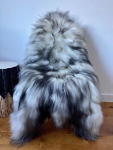 XXL Large Genuine Icelandic Sheepskin Rug White/Ivory/Black Tips Real Long Fur