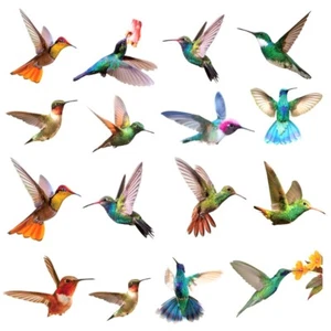 9pcs Hummingbird Window Clings Anti-Collision Wall Sticker Prevent Bird Strikes - Picture 1 of 8