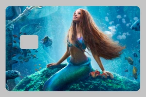 Ariel Fan Art Credit Card Decals - Picture 1 of 1