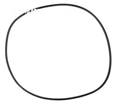 Genuine Hayward  X-Stream Filter Tank Body O-Ring CCX1000G - Image 1 of 2