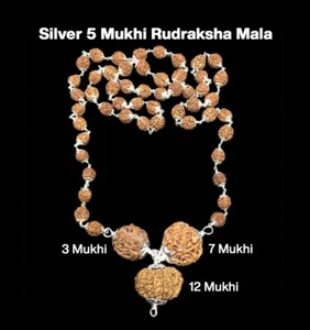 Rudraksha Combination for Career 3,7,12 Mukhi Nepal In Silver Mala IGL Certified - Picture 1 of 3