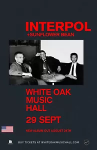 INTERPOL/SUNFLOWER BEAN 2018 HOUSTON CONCERT TOUR POSTER-Post-punk Revival Music - Picture 1 of 1