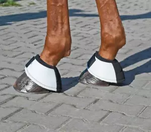 BUSSE Hufglocken Cross Gr. M oder XL weiß - NEU - Bild 1 von 1