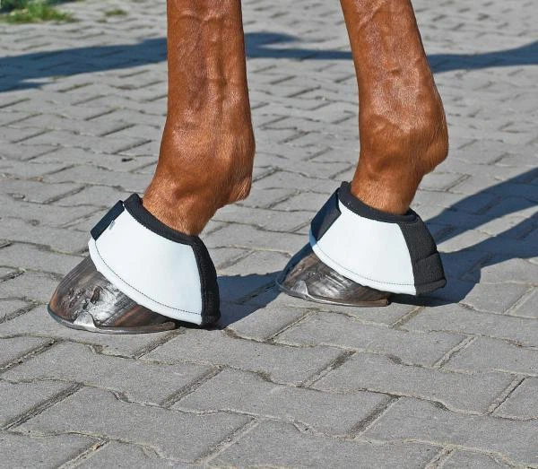 BUSSE Hufglocken Cross Gr. M oder XL weiß -  NEU - Bild 1 von 1