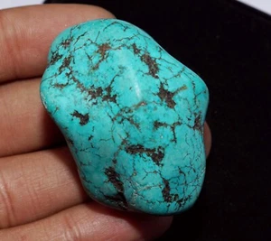 251.25 Ct Natural Severely Afghani EGL Certified Blue Turquoise Rough Gemstone - Picture 1 of 7