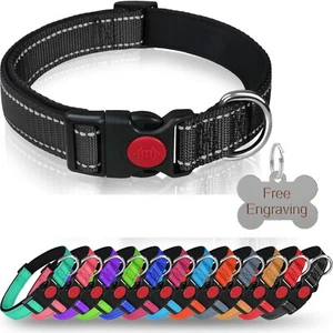 Reflective Nylon Adjustable Padded Dog Collar & Personalised Engraved Bone Tag - Picture 1 of 18